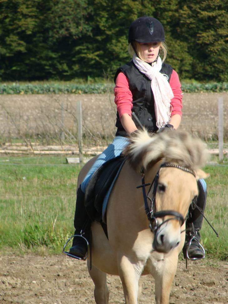 Fjordhest S.F. Mizty Halsnæs *SOLGT - Mig og Mizty. <´3 jeg kan godt mærke at hun ikke er vandt til at blive redet så hårdt 2008 billede 11