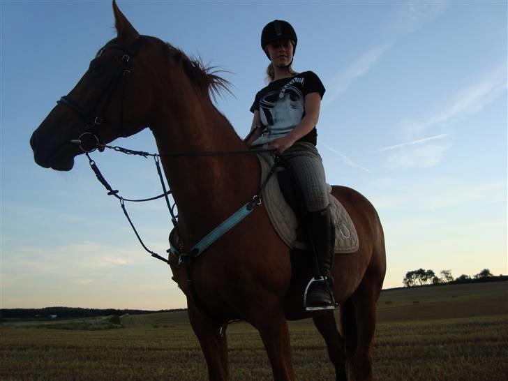 Anden særlig race Freja<33 - Tager på stubmarke :]   Min kæreste var lige med os ude at ride tur, hygge hygge :D billede 12