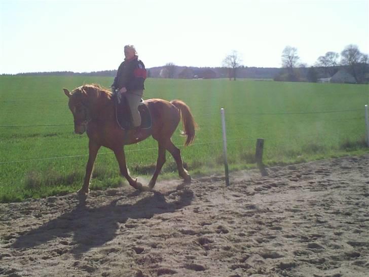 Anden særlig race Freja<33 - kun min!  billede 13