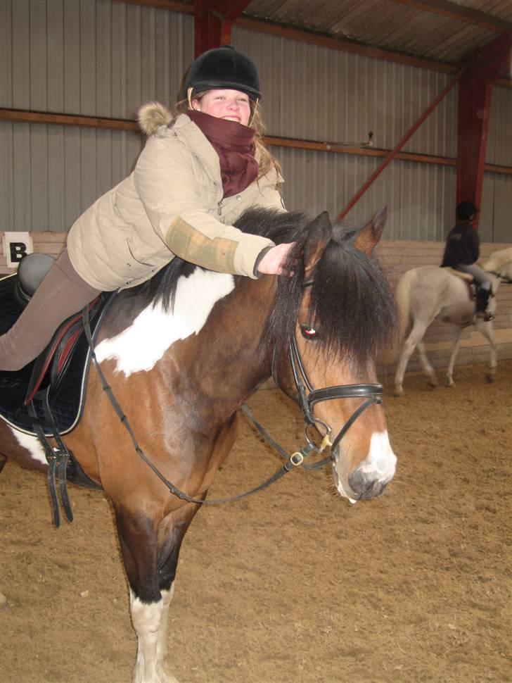 Irsk Sportspony Irish Knock Out  SOLGT:'( - Smiil (: hvor er i søde sammen .. Skrevet af Line . Foto Line billede 13