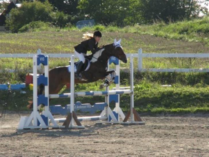 Irsk Sportspony Irish Knock Out  SOLGT:'( - LA Helsinge :) Foto: Kirstine :D billede 14