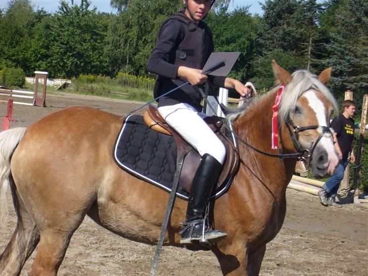Haflinger Betti - Mig & Betti, til præmieoverrækkelse :D  billede 10