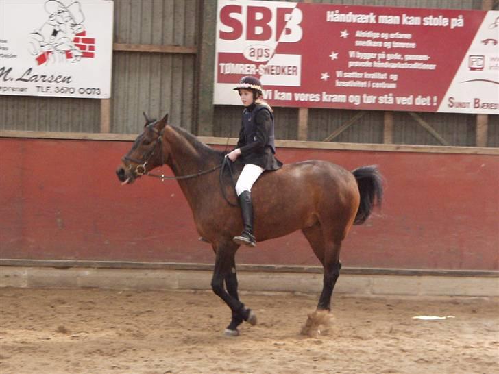 Anden særlig race Charlie Chaplin - Astrid & Chaplin  billede 10