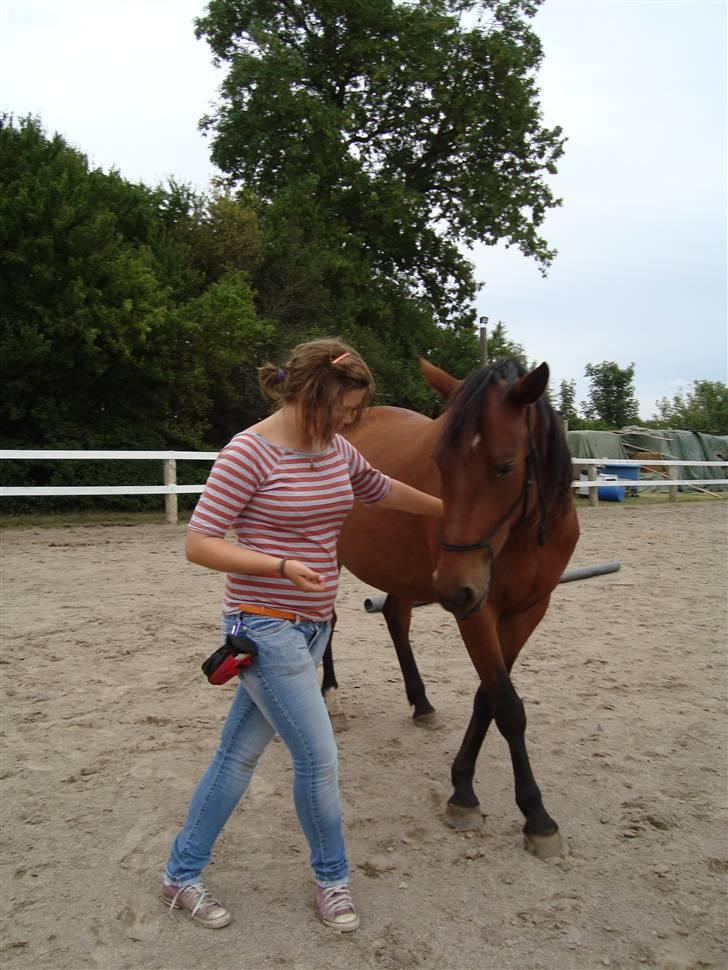 Anden særlig race Sakia <3 my pride - hun har lært at krydse benene når jeg gør det Foto: Signe Bendsen billede 15