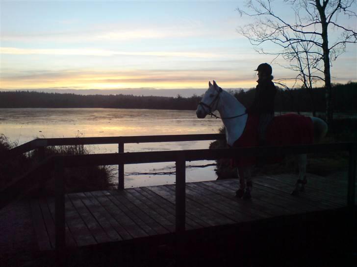 Anden særlig race Magic - solnedgang ved søen 3 jan. 09 billede 13
