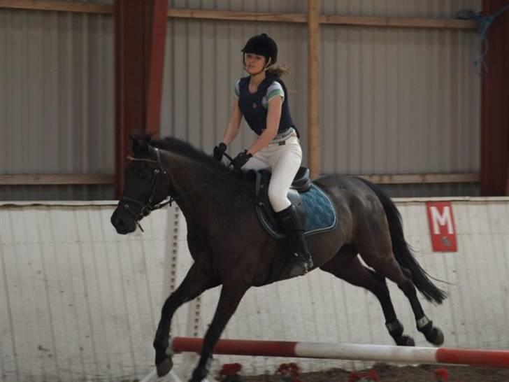 Anden særlig race Trinity C  - første spring stævne efter lang tid .. gik super .. 30 april 2009 billede 10