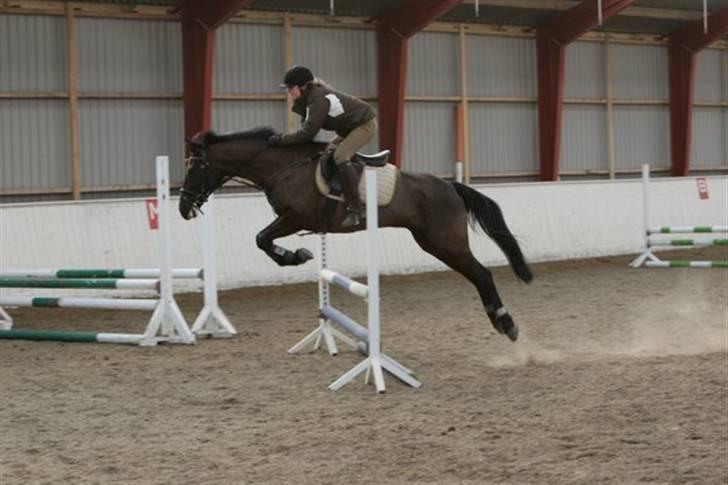 Anden særlig race Trinity C  - igen 22 marts 2008 billede 11