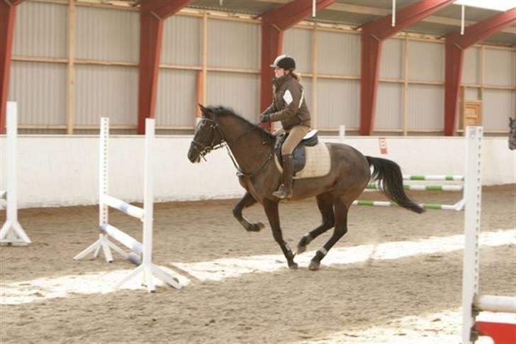 Anden særlig race Trinity C  - igen ! 22 marts 2008 billede 12