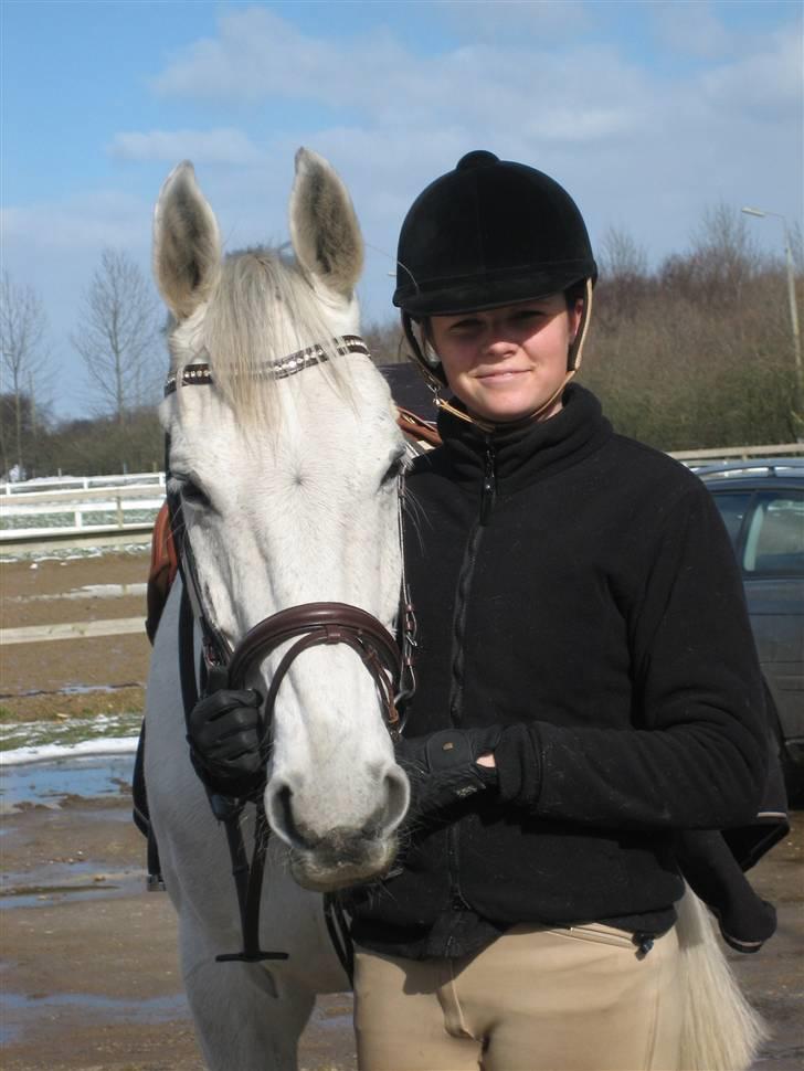 Holstener Cockney B (Død) - Godt billed,, efter hår´ træning:b billede 5