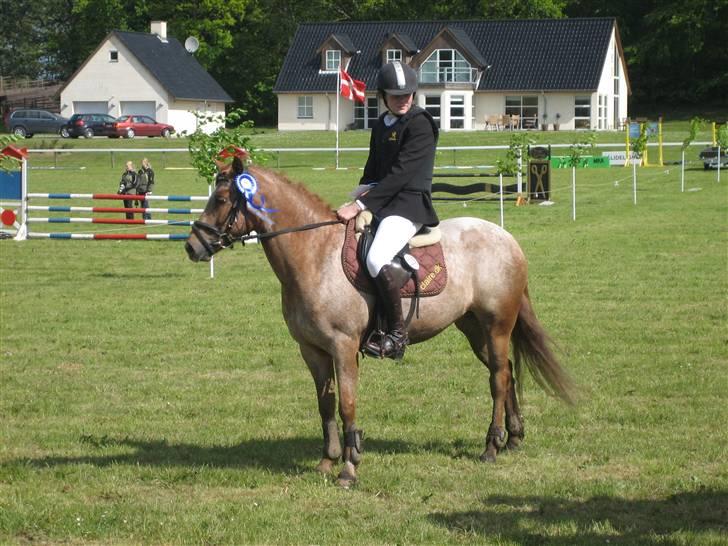 Anden særlig race Fru Smith (solgt) - På Mors.. Efter en god runde blev det til en 2`plads..! billede 5