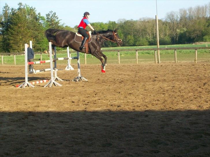 Trakehner Knobelsdorff - undervisning 18 maj 2010 billede 17