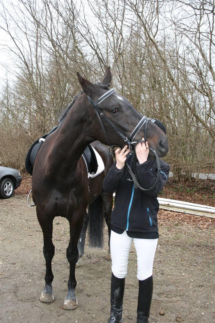 Dansk Varmblod Lillemarken's Abrikoos (solgt) - KRAMMER.......!!! I LOVE YOU.... billede 16