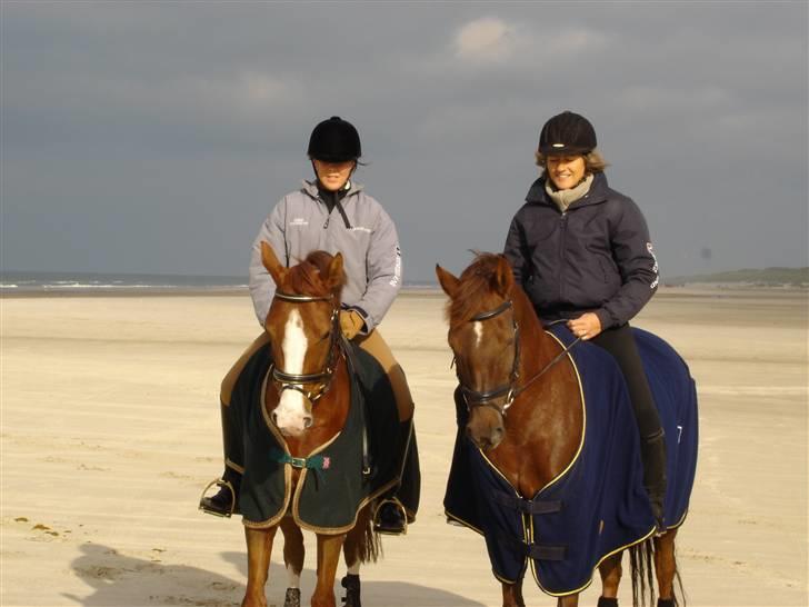 Hollandsk Sportspony Zandgat's El-Samber - Mig på Samber, og min mor på eternity <3 billede 4