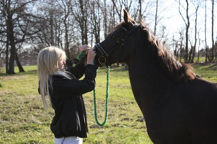 Anden særlig race Stella billede 5