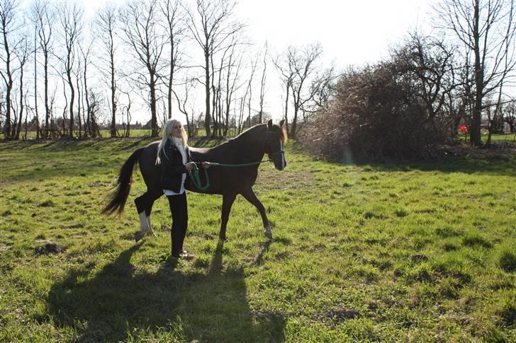 Anden særlig race Stella billede 7