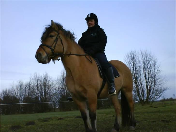 Anden særlig race Juvena - Mig og Juvena billede 12