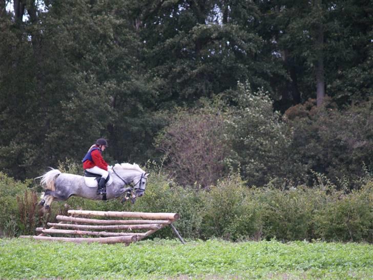 DSP Asgogårds Splint - Sætter af alt for tidligt! Fordi man bare skal efter de andre. Men kommer vellykket over!  billede 14