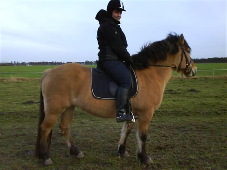 Anden særlig race Juvena billede 16