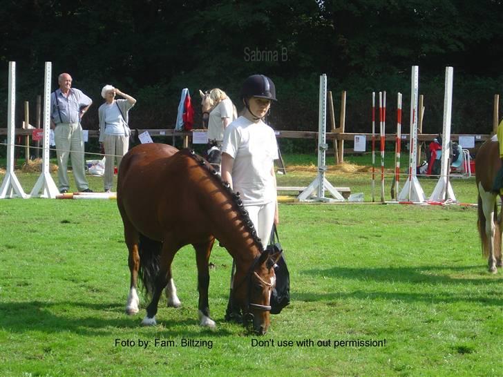 Welsh Mountain (sec A) Dorthealyst Glowworm / Sahra - *R.I.P* - Billede 10: Sahra og jeg til 4H dyreskue 2004 billede 10