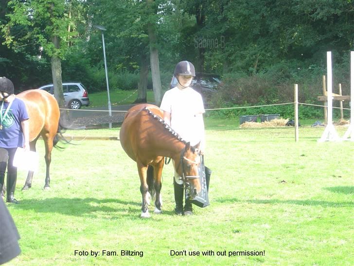 Welsh Mountain (sec A) Dorthealyst Glowworm / Sahra - *R.I.P* - Billede 12: Sahra og jeg til 4H dyreskue 2004 billede 12