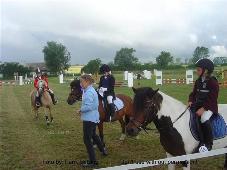 Welsh Mountain (sec A) Dorthealyst Glowworm / Sahra - *R.I.P* - Billede 13: Gylden vandt og Sahra (og Denise) blev nr. 2 i en LC til distriktmesterskabet for hold i 2002 billede 13