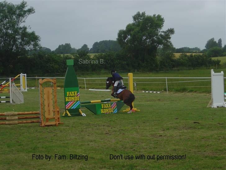 Welsh Mountain (sec A) Dorthealyst Glowworm / Sahra - *R.I.P* - Billede 16: Gylden vandt og Sahra (og Denise) blev nr. 2 i en LC til distriktmesterskabet for hold i 2002 billede 16