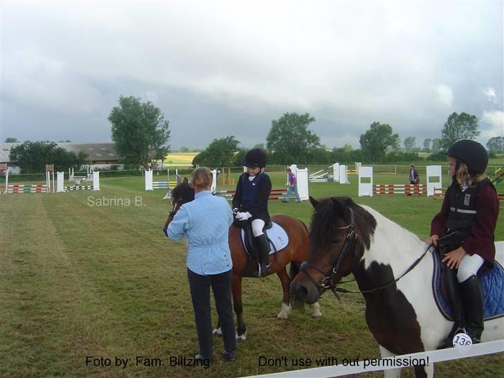 Welsh Mountain (sec A) Dorthealyst Glowworm / Sahra - *R.I.P* - Billede 17: Gylden vandt og Sahra (og Denise) blev nr. 2 i en LC til distriktmesterskabet for hold i 2002 billede 17