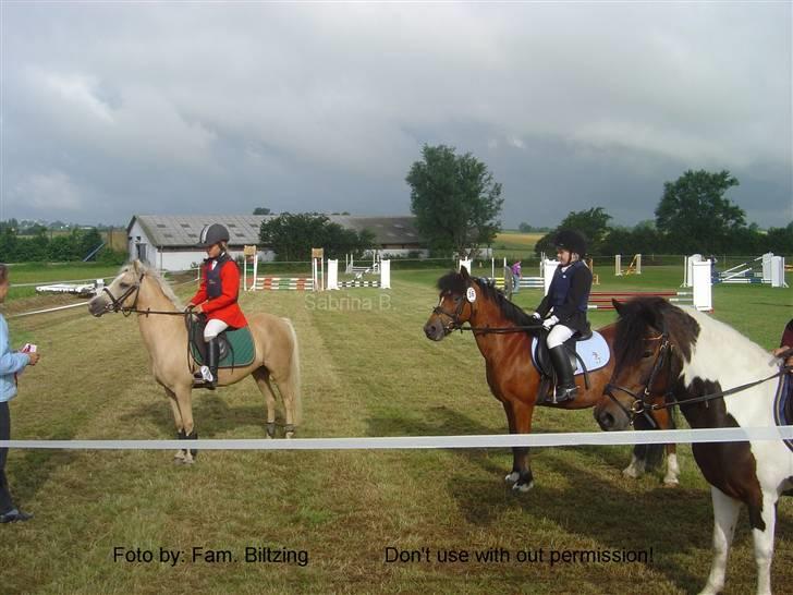 Welsh Mountain (sec A) Dorthealyst Glowworm / Sahra - *R.I.P* - Billede 18: Gylden vandt og Sahra (og Denise) blev nr. 2 i en LC til distriktmesterskabet for hold i 2002 billede 18
