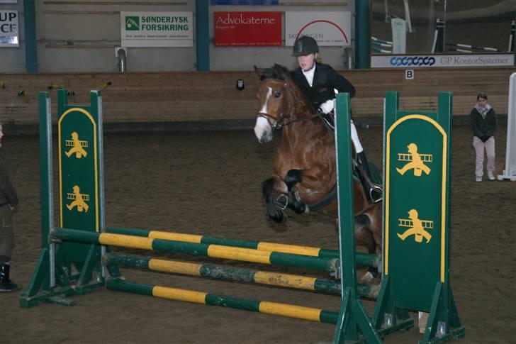 DSP Flicka -solgt- - SØR 22-02-09 billede 16