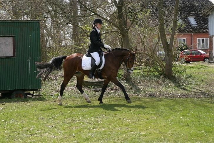 DSP Flicka -solgt- billede 17