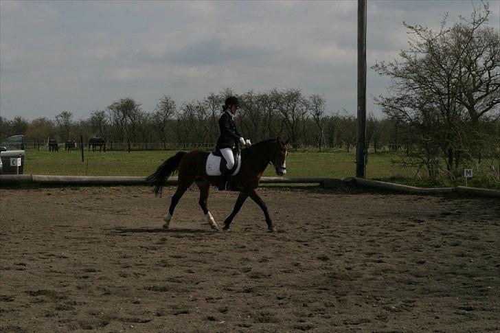 DSP Flicka -solgt- billede 18