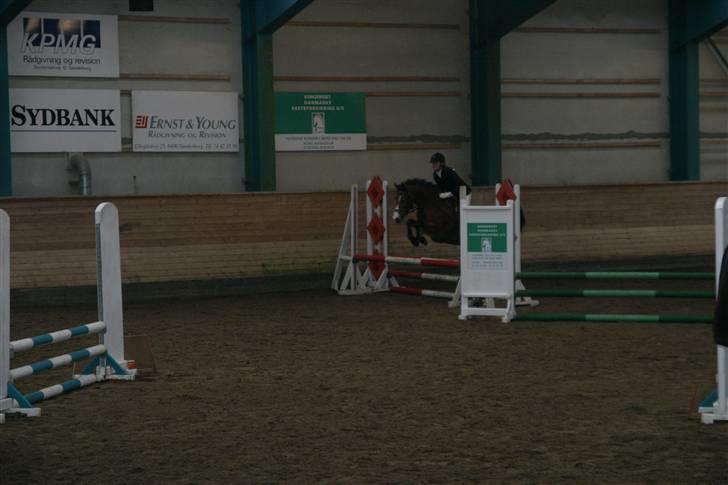 DSP Flicka -solgt- - SØR 22-02-09 billede 19