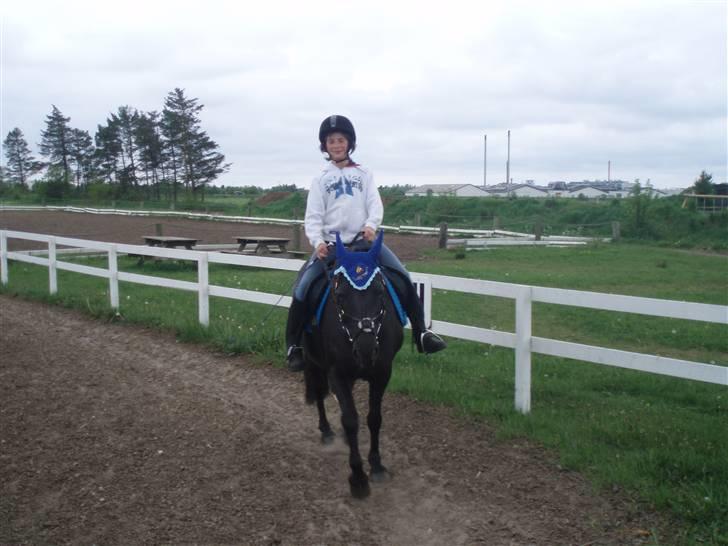 New Forest | Chap | Y-PONY - chap og min lillebror jonathan billede 20