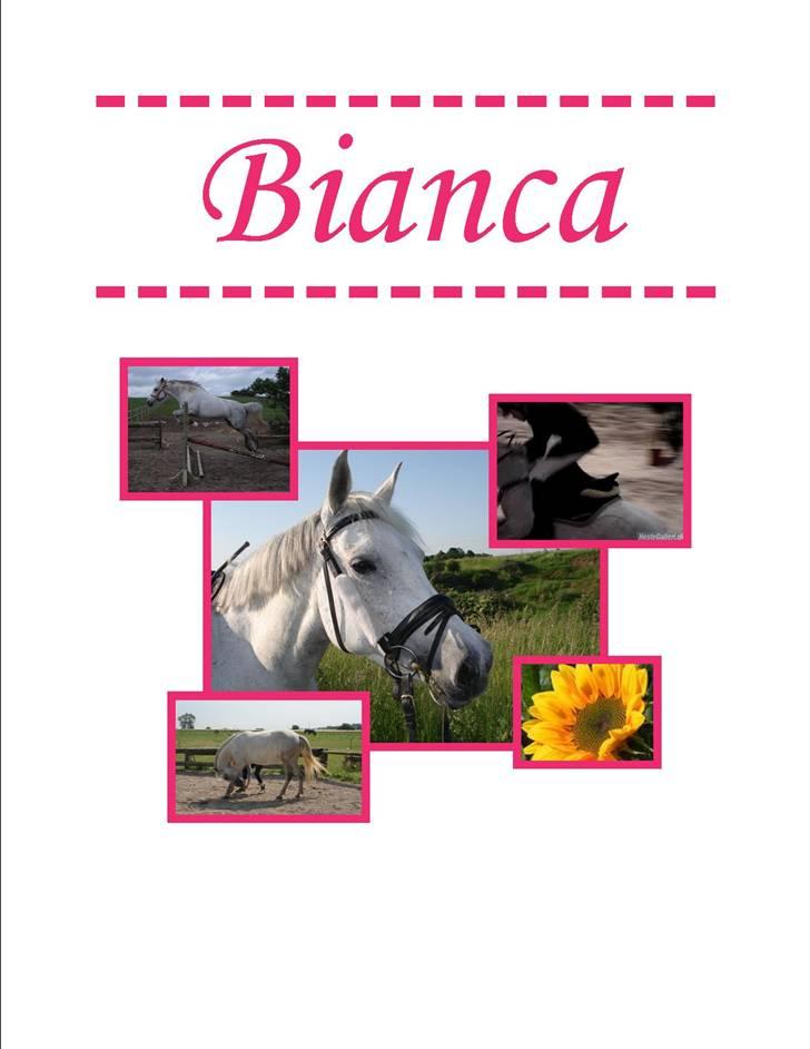 Pinto Bianca - Aflivet :'( billede 20