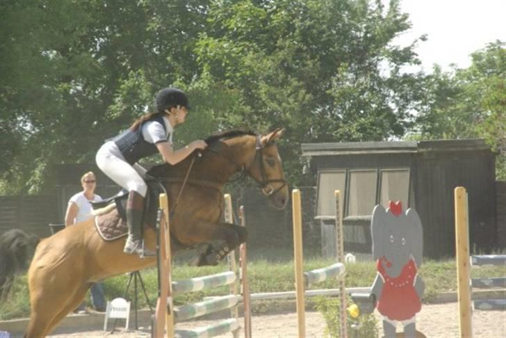 Anden særlig race Moonligt  billede 3