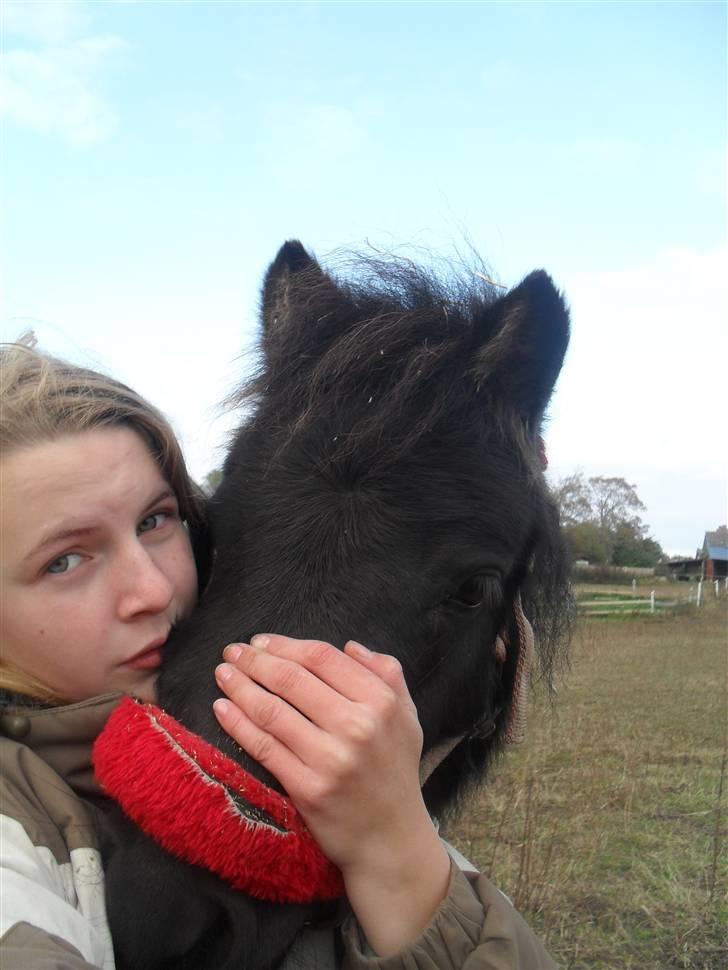 Shetlænder tøzen ( solgt) :I - Dig og mig  taget af selvtimer  billede 15