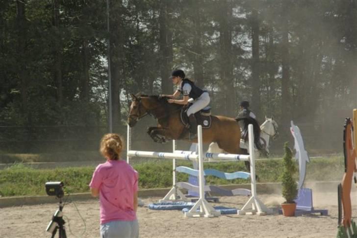 Anden særlig race Moonligt  billede 8