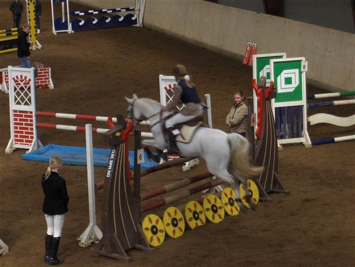 Anden særlig race Flicka - SOLGT billede 3