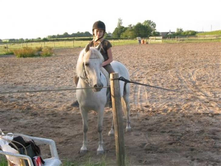 Anden særlig race Bella  billede 2