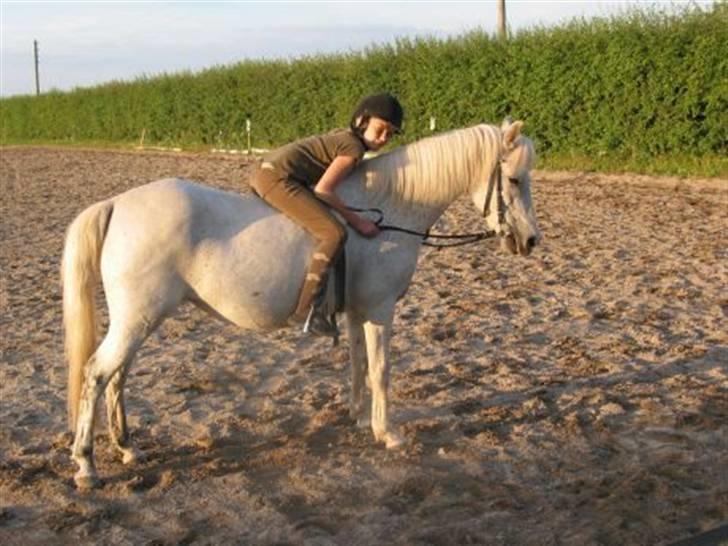 Anden særlig race Bella  billede 10