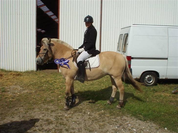 Fjordhest Luise-*R.I.P* billede 1