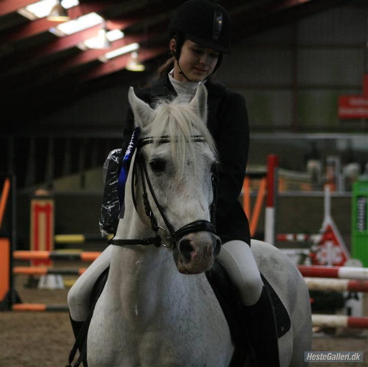 Anden særlig race GHOST BUSTER - La 2008 SVR billede 14