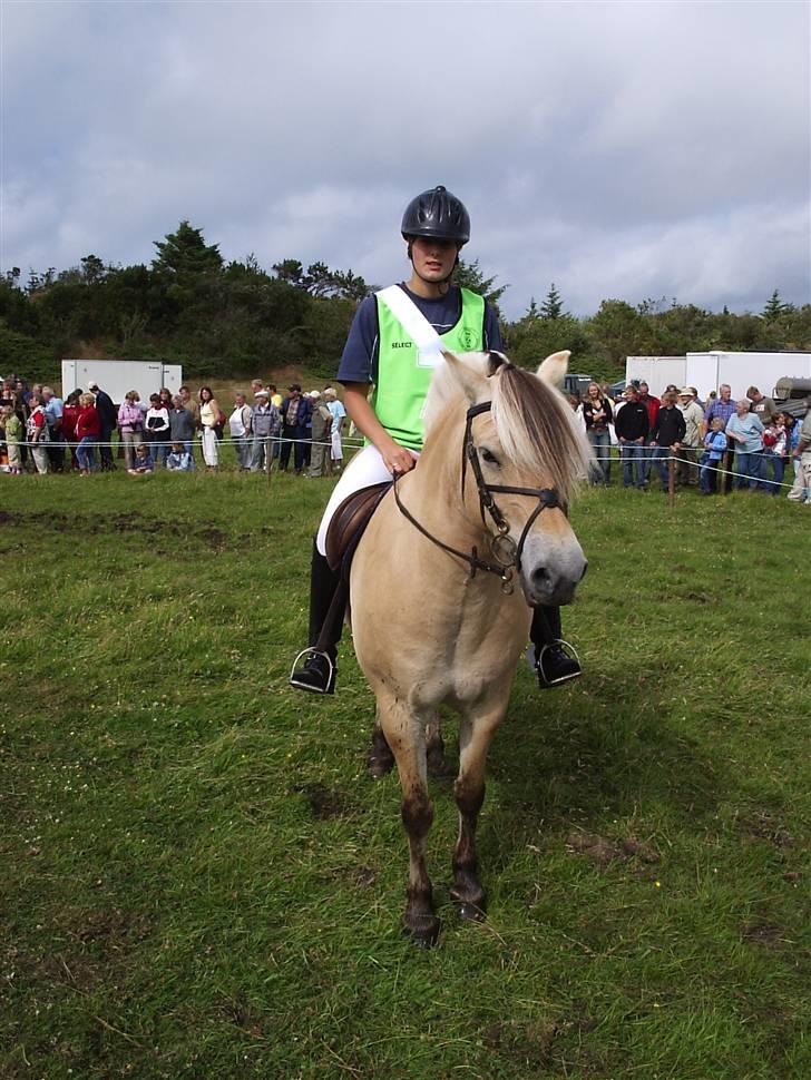 Fjordhest Luise-*R.I.P* billede 7