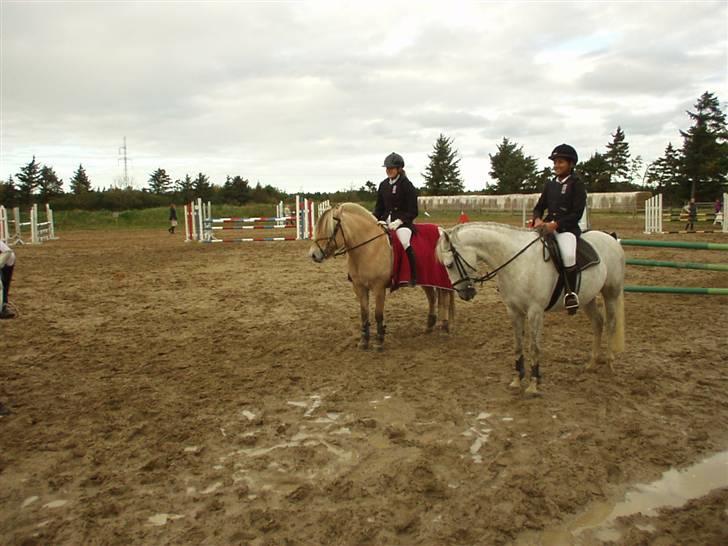 Fjordhest Luise-*R.I.P* - Pernille og Luise blev nr. 2 i Klubmesterskabet i Han Herreds Hestesportsklub d. 09.10.04 billede 8