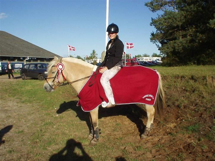 Fjordhest Luise-*R.I.P* - Pernille og Luise vandt Danske Bank Cup i spring i Nibe, d. 21.09.03 billede 9
