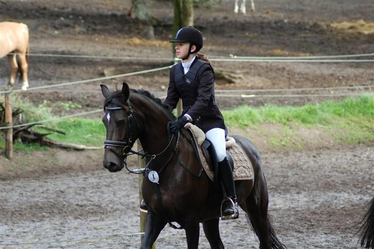 DSP Pretty Madonna - C-stævne i Bigittelyst, lige inden vi skal ind. billede 4