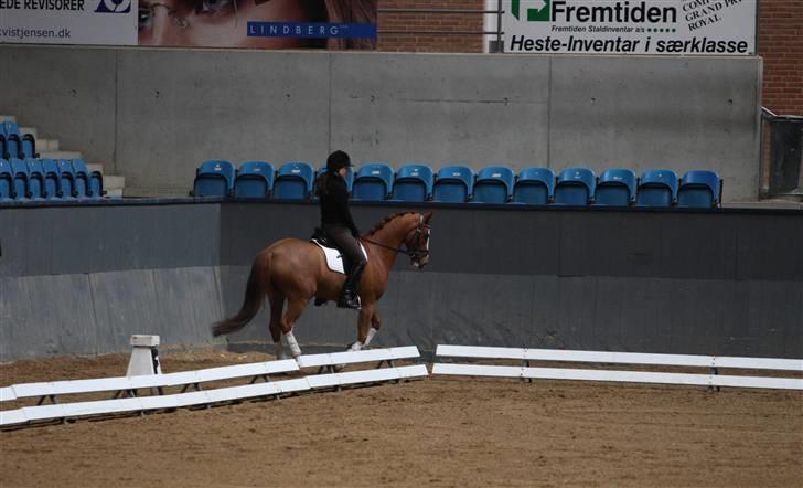 DSP Ferrari - Marts 2008, samling på Vilhelmsborg billede 16