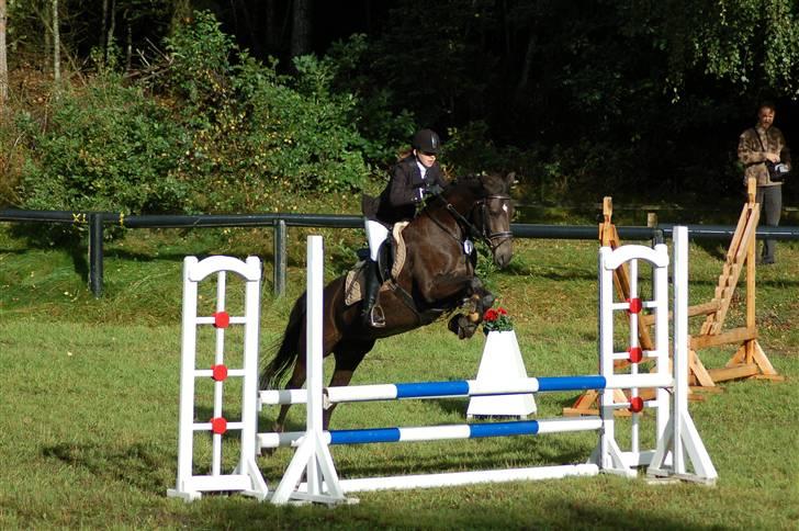 DSP Pretty Madonna - C-stævne i Bigittelyst Rideklub billede 5