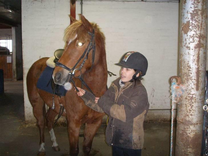 Anden særlig race Gabi (Solgt til Maja <3) - Gabbi og mig på staldgangen =D  billede 1