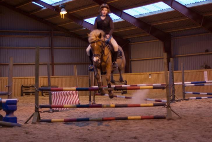New Forest Olivia / Squash - olivia og jeg springer i marts billede 14